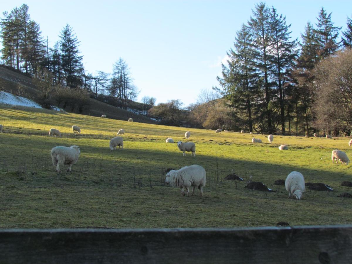 Wild Valley Bunkhouse Llanrhaeadr-ym-Mochnant Exterior photo
